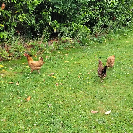 Stone ベッド・アンド・ブレックファスト