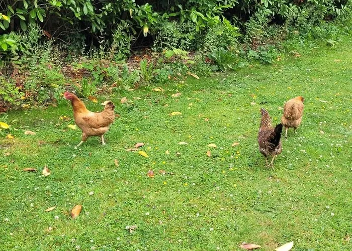 Stone Bed & Breakfast